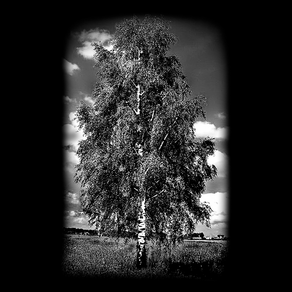 Художня робота 29