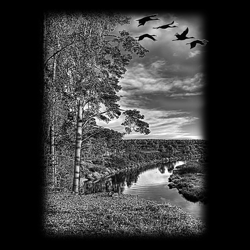 Художня робота 35