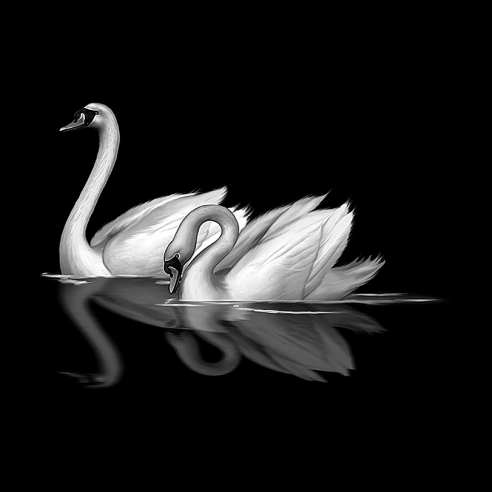 Художня робота 36